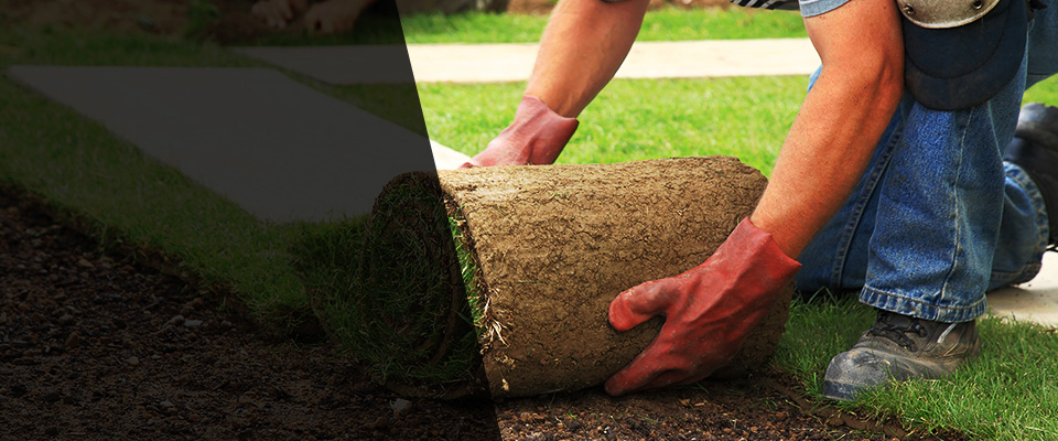 Lyman Landscapers